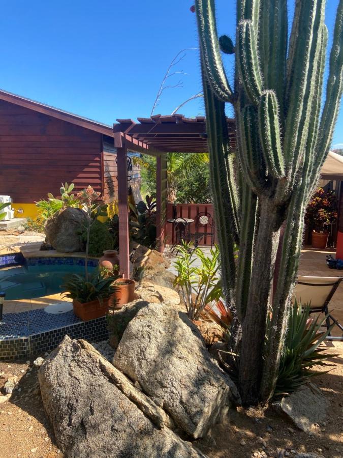 Cozy Studio With Private Spa Oranjestad Exterior foto